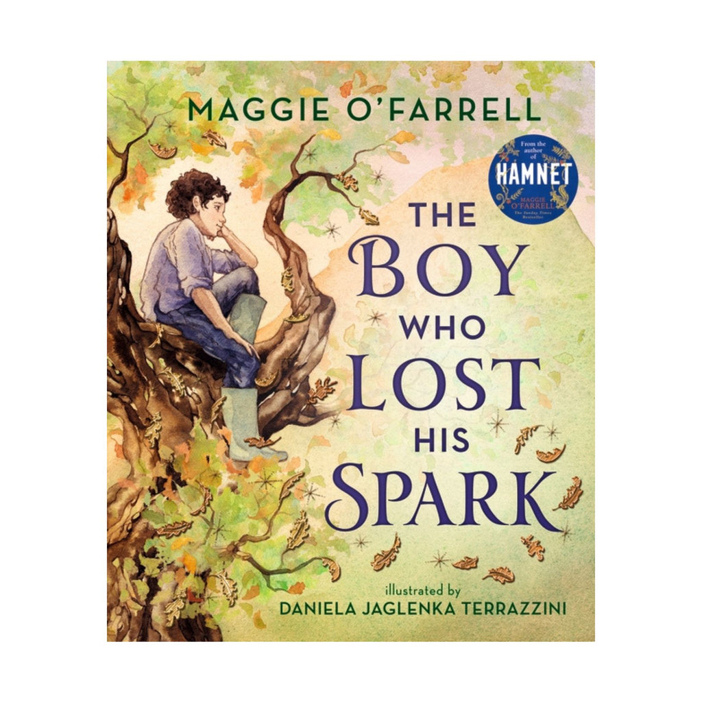 Boy Who Lost His Spark, The