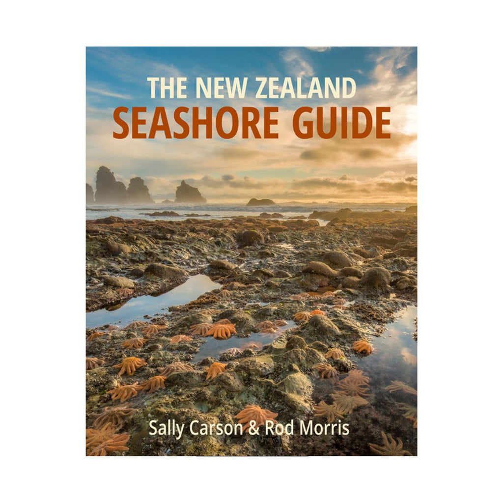 New Zealand Seashore Guide, The