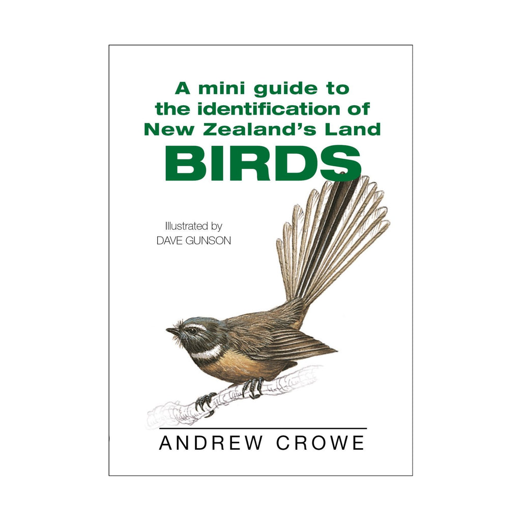 Mini Guide to the ID of NZ Birds