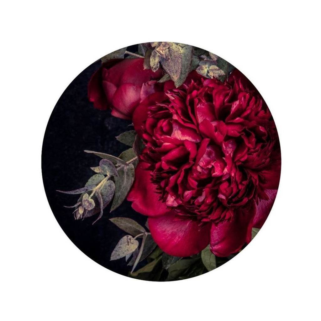 Scarlet Peony Greeting card