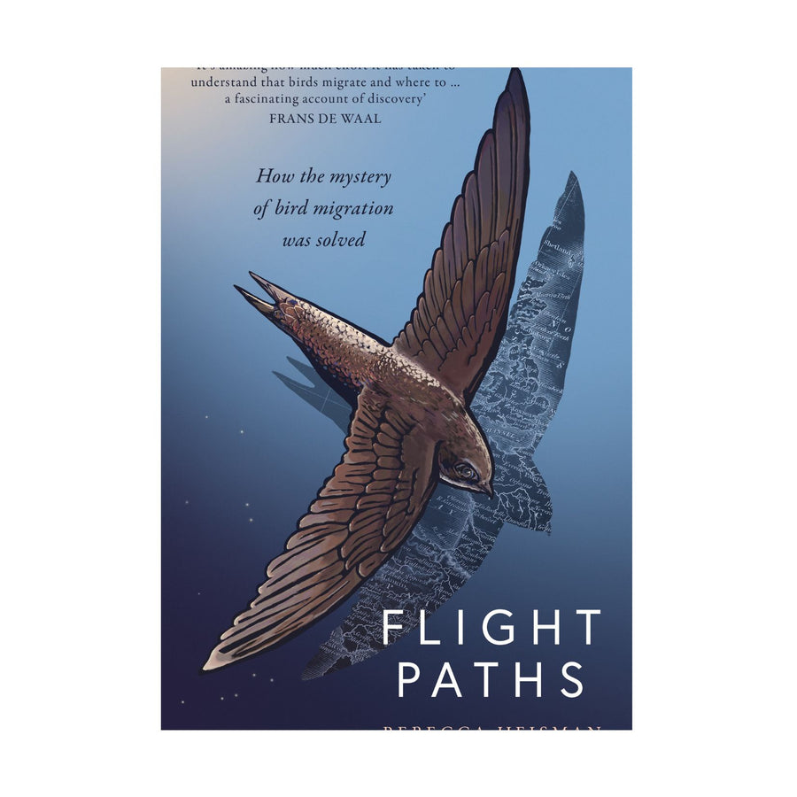 Flight Paths
