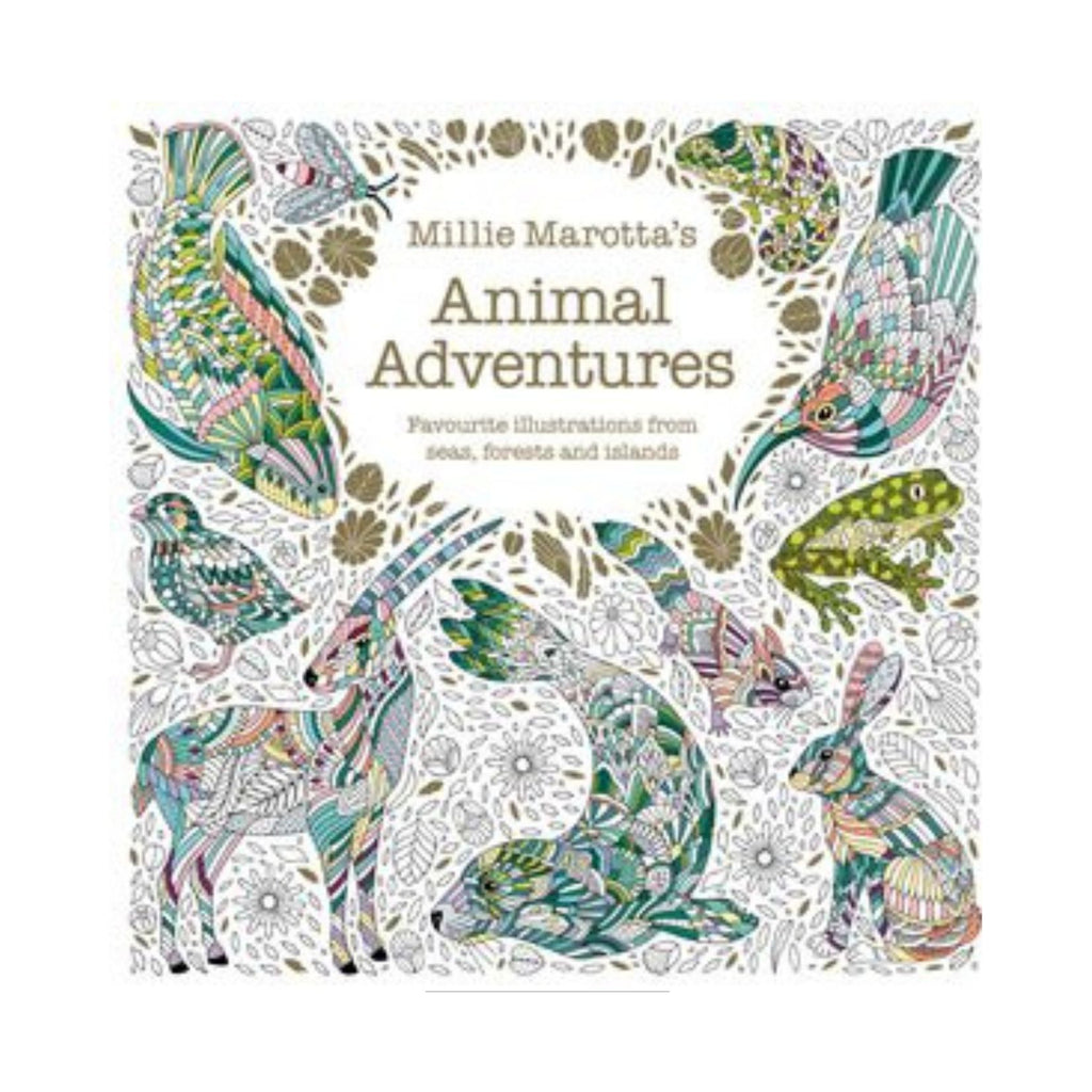Animal Adventures Colouring Book