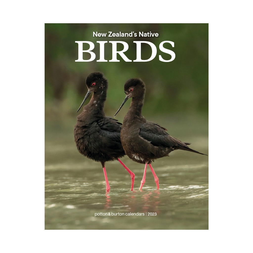 2023 Native Birds NZ Calendar