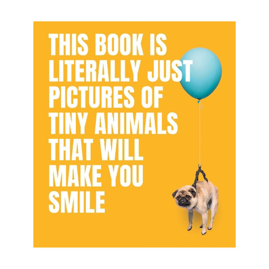 This Book is Literally Just Pictures of Tiny Animals that Make you Smile