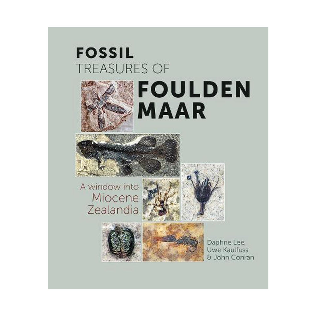 Fossil Treasures Of Foulden Maar