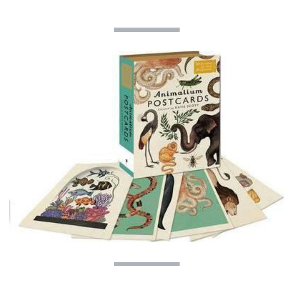 Animalium Postcards