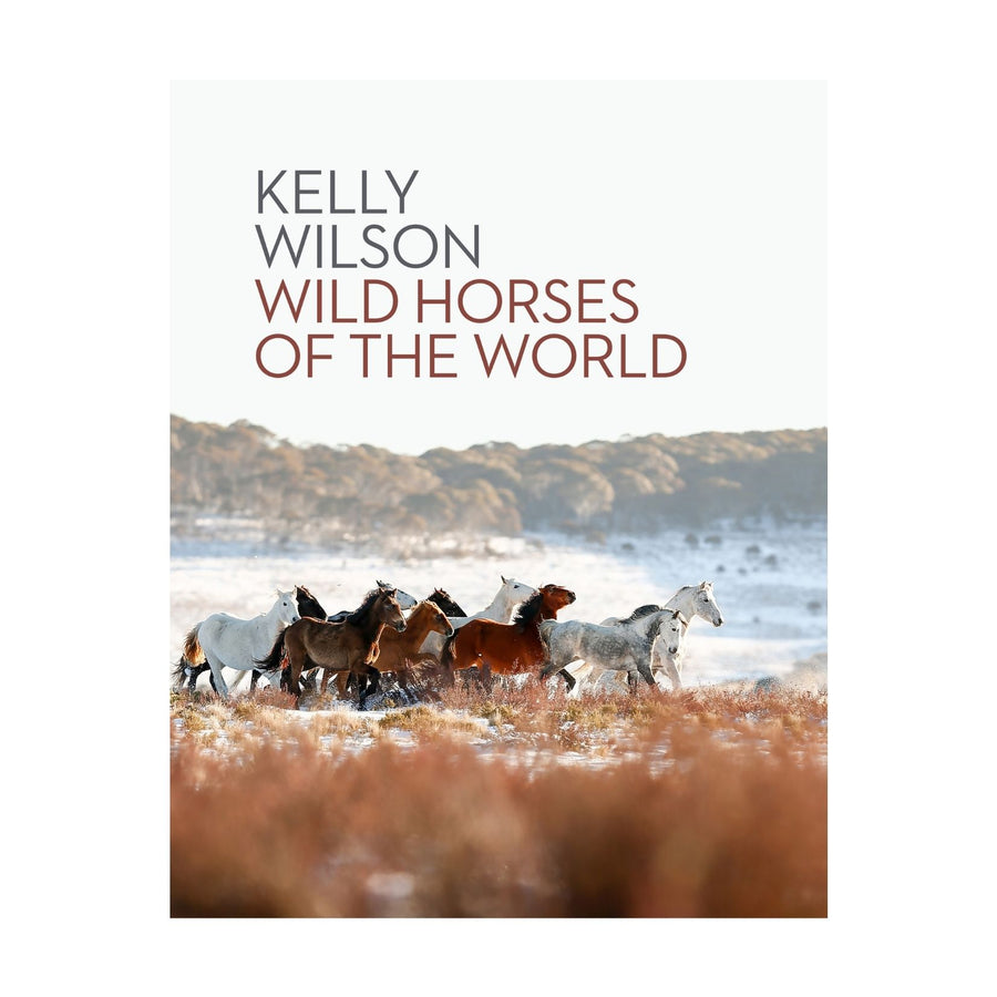 Wild Horses of the World