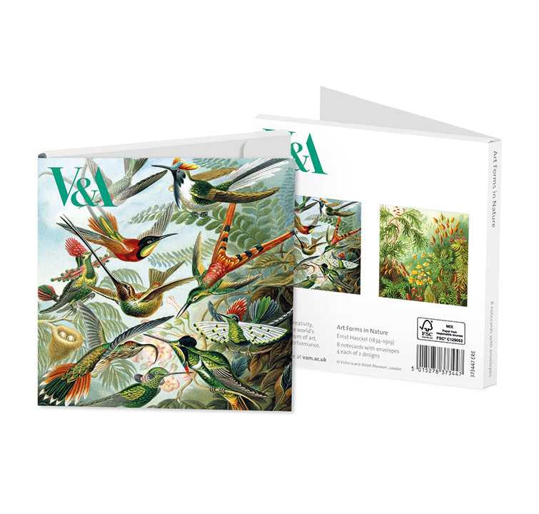 Art Forms in Nature Notecard Set 4x2