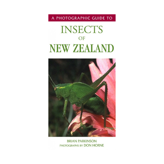 Photographic Guide to Insects of New Zealand, A