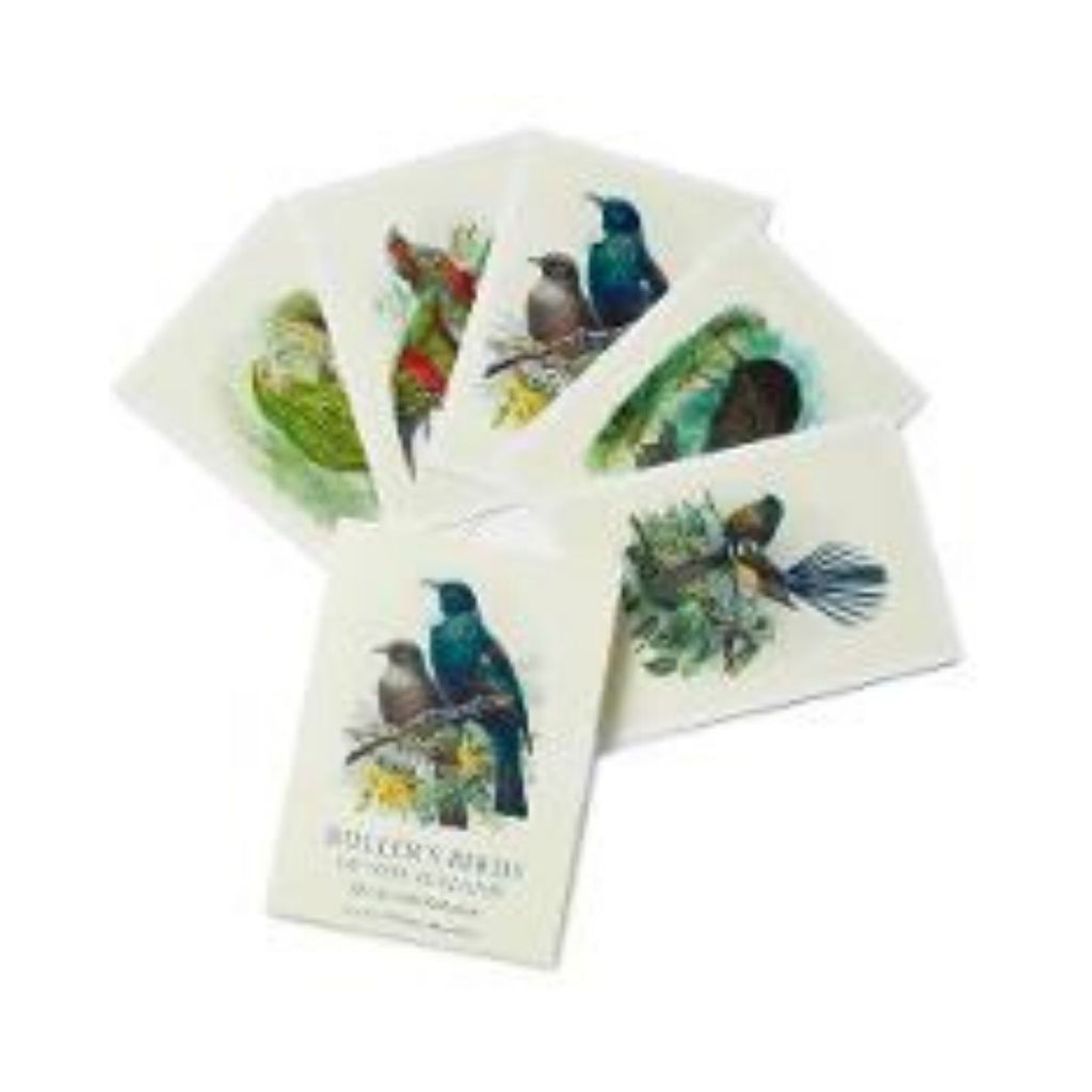 Bullers Birds of New Zealand Boxed Card Set