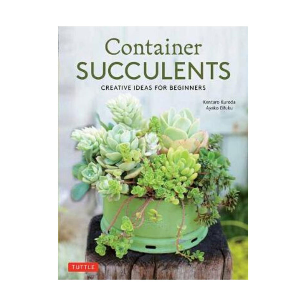 Container Succulents
