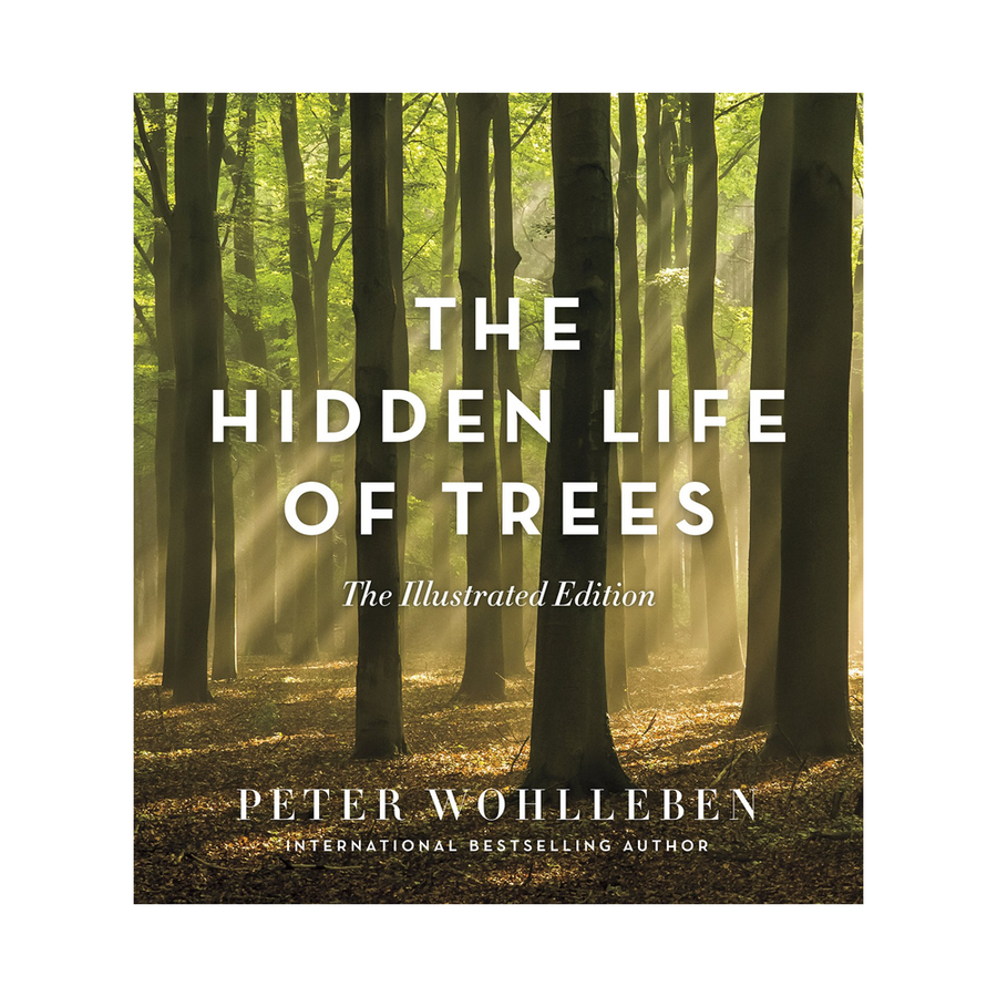 Hidden Life of Trees (illustrated)